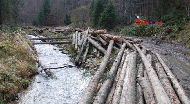 Baronul austriac Jakob Kripp, implicat în dosarul retrocedării ilegale a 50.000 hectare de pădure din România