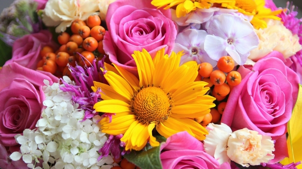 Primăria Ticvaniul Mare – De ziua numelui vă dăruim toate florile din lume