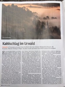 der-spiegel-1