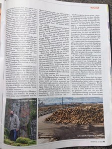 der-spiegel-3