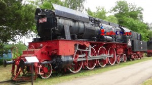 Muzeu locomotive (63)