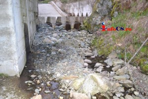 Valea Sebesului M-tii Tarcu