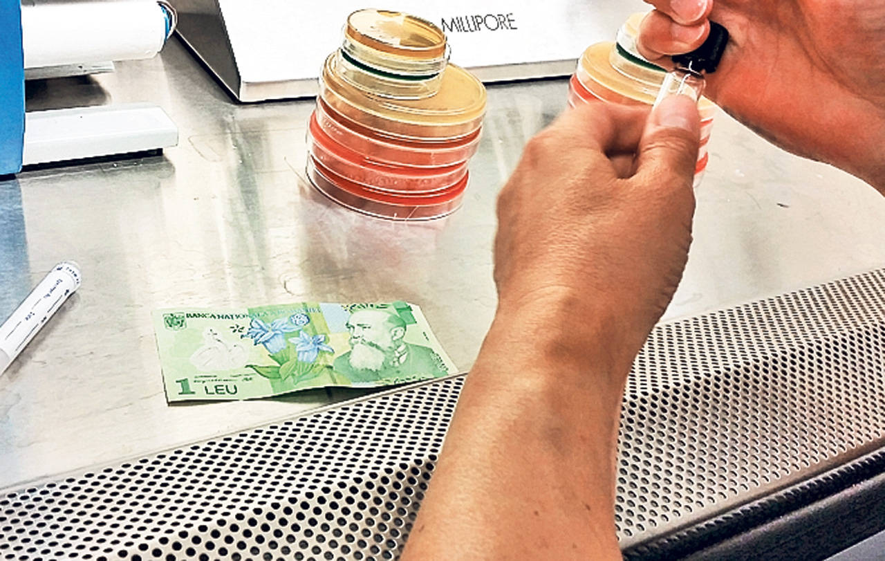 Bani murdari – Câți microbi sunt pe bancnotele de 1 leu