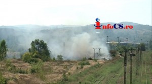 Foc Triaj (2)