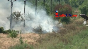 Foc Triaj (3)