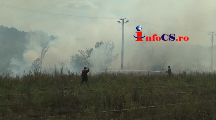 VIDEO Foc în triajul CFR din Reșița