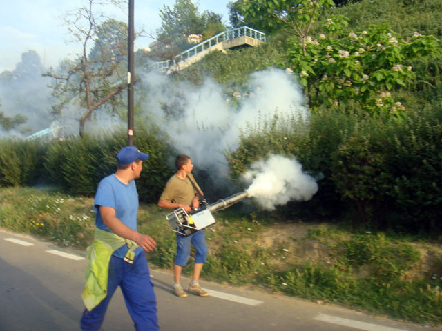 Primăria Reșița declară război muștelor, țânțarilor și căpușelor