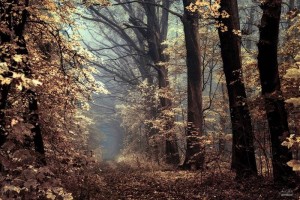 0e96c727-250c-476d-a12d-fa5ab0a49c49