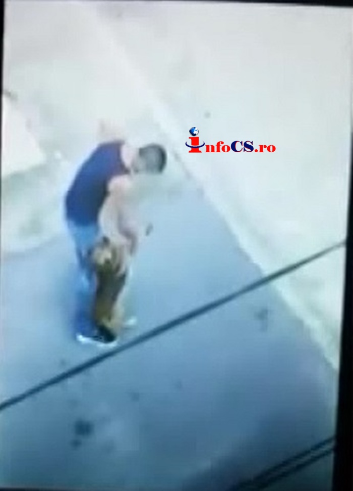 VIDEO Atenție – Imagini șocante ! Caz de cruzime inimaginabilă asupra unui biet câine la Bocsa