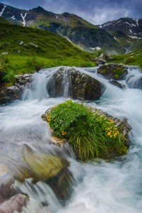 raul_olteana_tarcu_foto_Alin_Drausin_1