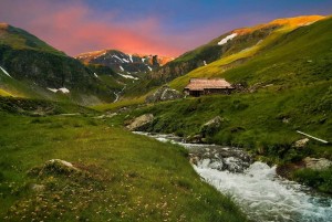 raul_olteana_tarcu_foto_Alin_Drausin_2