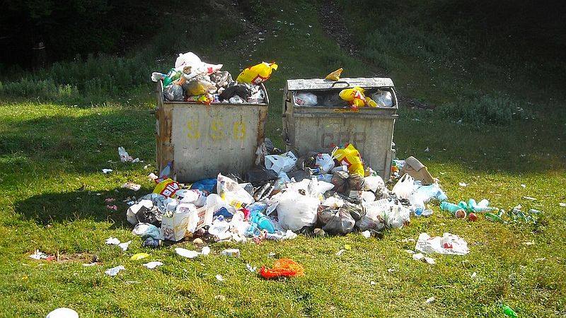 Bocșa și mai multe localități din Caraș Severin, sufocate de gunoaie – Ce spune primarul orașului Bocșa