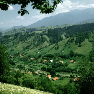49-rucar-bran-vedere-panoramica1