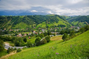 IMG_0390
