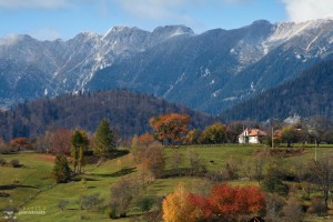 Toamna-in-Culoarul-Rucar-Bran-Bucegi-Piatra-Craiului-sat-Pestera_08