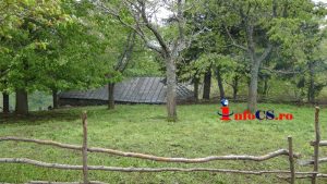 Masurat Corneteva 2016 mai (4)