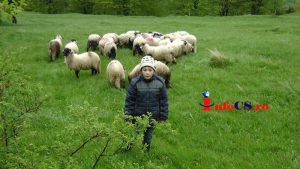 Masurat Corneteva 2016 mai (40)