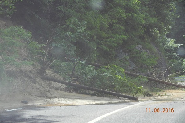 Transbanateanul afectat de ploile de ieri – copaci și bolovani pe drum
