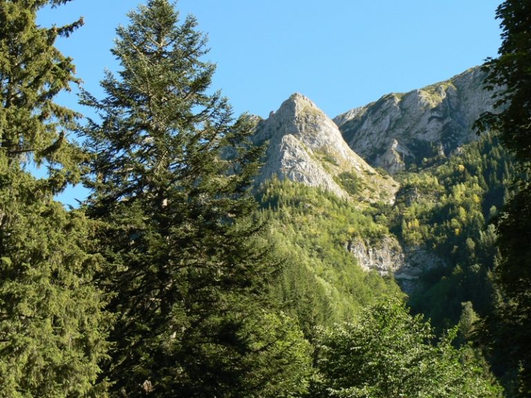 ULtima speranta: Semenicul și Godeanul – România a pierdut Parcul Național Retezat