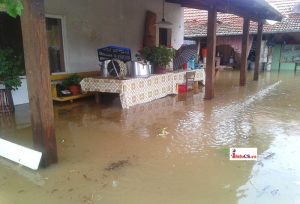 Inundatii Remetea 2016 (10)