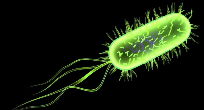 VIDEO Mici cu bacteria E- coli intr-un supermarket din Resita – DSV a intrat in actiune – NU sunt imbolnaviri