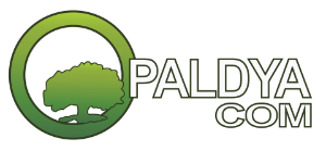 paldya2