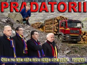 psd-pradatorii