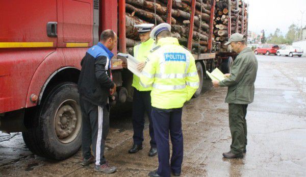 Autoritatile cu drept de control – cu ochii pe transporturile de lemn
