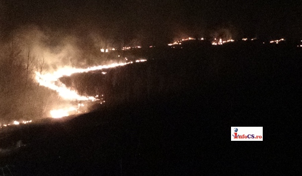 VIDEO Incendiu de vegetaţie, flăcările au ajuns până la 2 m de case la Reşita