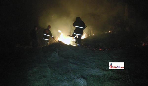 VIDEO Foc de vegetatie la Carasova, 20 de hectare de faneata in flacari