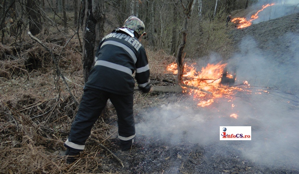 Incendii de padure la Cornereva in Parcul National și la Rusca Teregova VIDEO