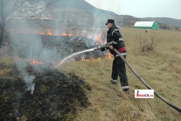 EXCLUSIV VIDEO Incendiu de vegetatie pe DN 57A langa Moldova Noua
