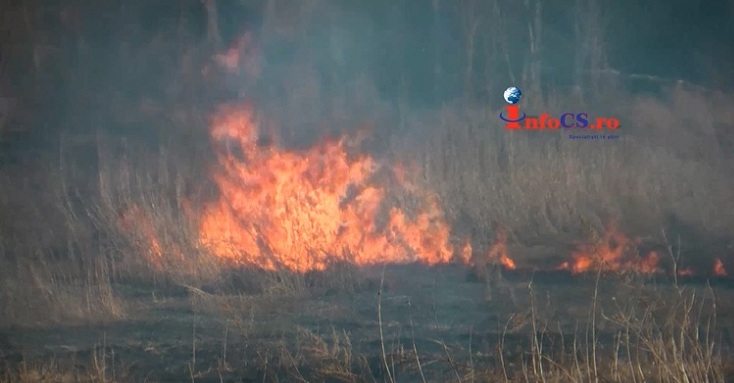 VIDEO Un puternic incendiu de vegetație a izbucnit în marginea Câlnicului