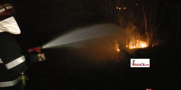 VIDEO Incendiile de vegetație se ţin lanţ în Caras Severin – Foc la Soceni