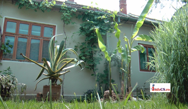 VIDEO Se anunta recolta slaba in satul cu banani din România  – Doclin
