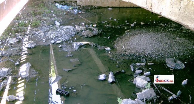 Putrefactie VIDEO Viaţa i-a devenit un calvar. Un bocșan a ajuns să trăiască cu un ...