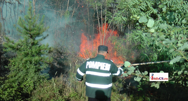 VIDEO Incendiu de vegetatie la Moniom – Focul a intrat in padure