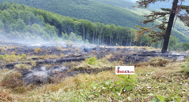 VIDEO Incendiu devastator in Parcul National Muntele Semenic- Dupa ce a fost defrisat, muntele a fost ars