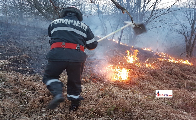 VIDEO 100 de hectare parjolite de incendii de vegetație