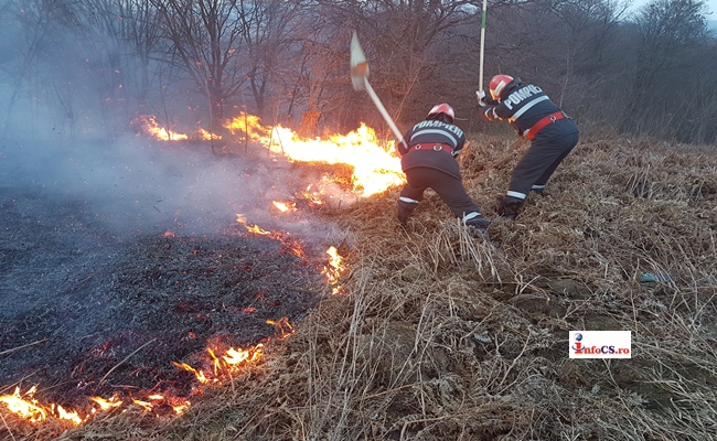 VIDEO Un incendiu de vegetaţie lângă DN58 la Brebu, a pus probleme soferilor