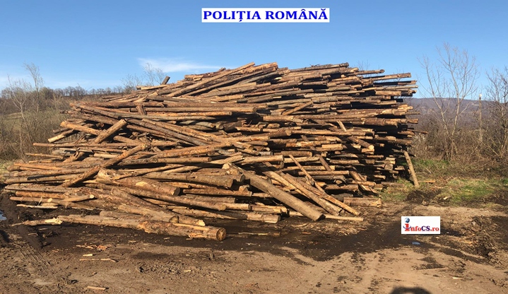 Peste 160 de metri cubi de material lemnos confiscat