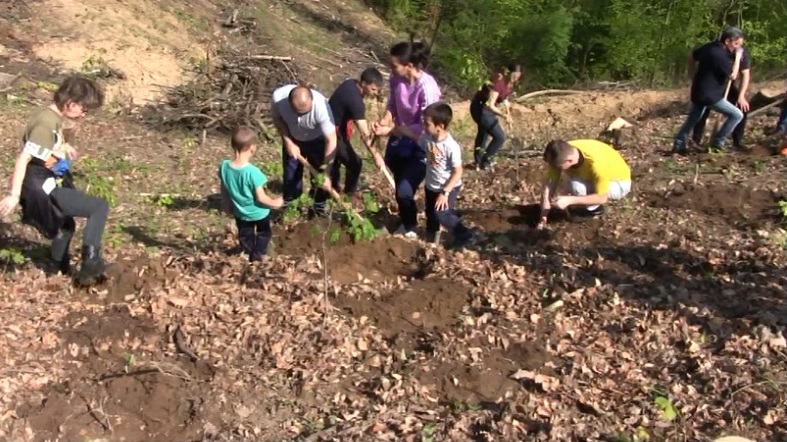 500 de stejari plantati intr-o singura zi la Ocolul Silvic Smida din Bocsa VIDEO