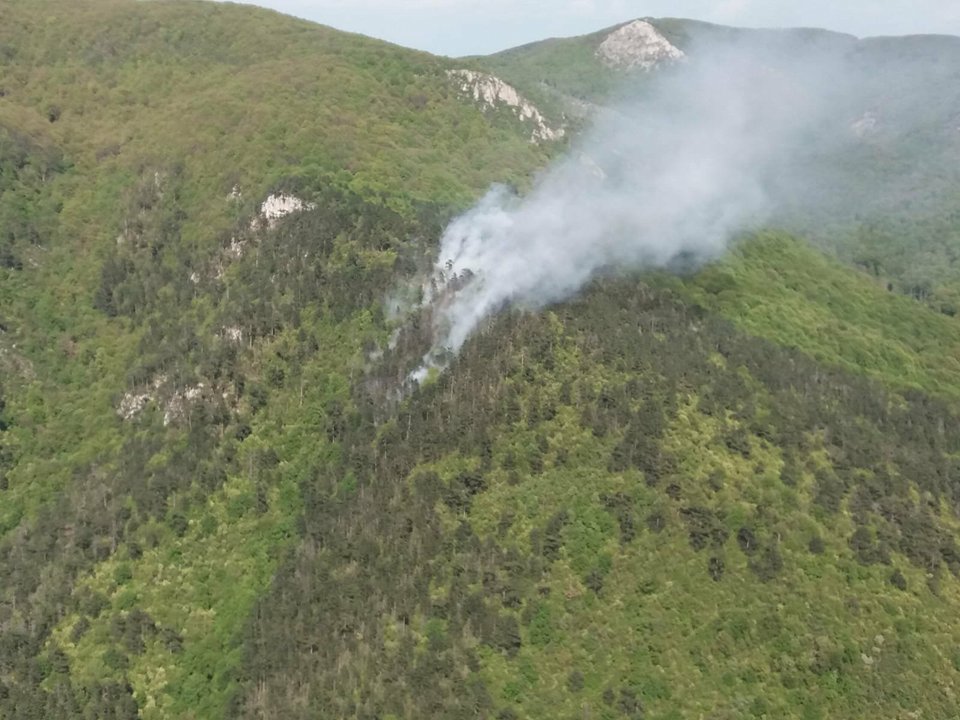 Foc în Parcul National Domogled! Pompieri din Mehedinți și Caraș-Severin luptă cu flăcările VIDEO
