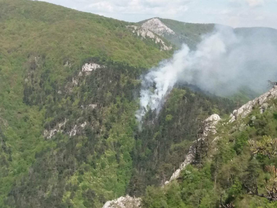 NEWS ALERT Incendiu a izbucnit în Parcul Naţional Domogled