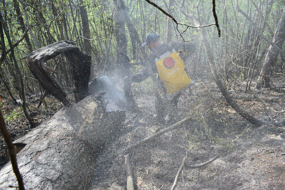 Incendiu in Domogled! Focul s-a extins la trei hectare VIDEO