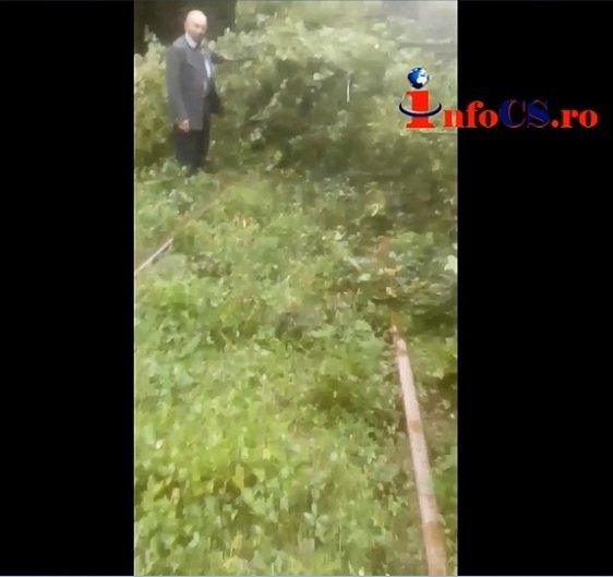 EXCLUSIV VIDEO Tren oprit de copacii căzuţi pe calea ferată Resita – Timisoara