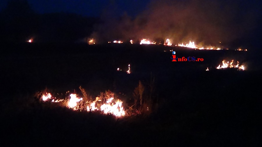 Incendiu violent de vegetație pe Valea Almăjului – Zeci de hectare de livezi si fanete parjolite VIDEO