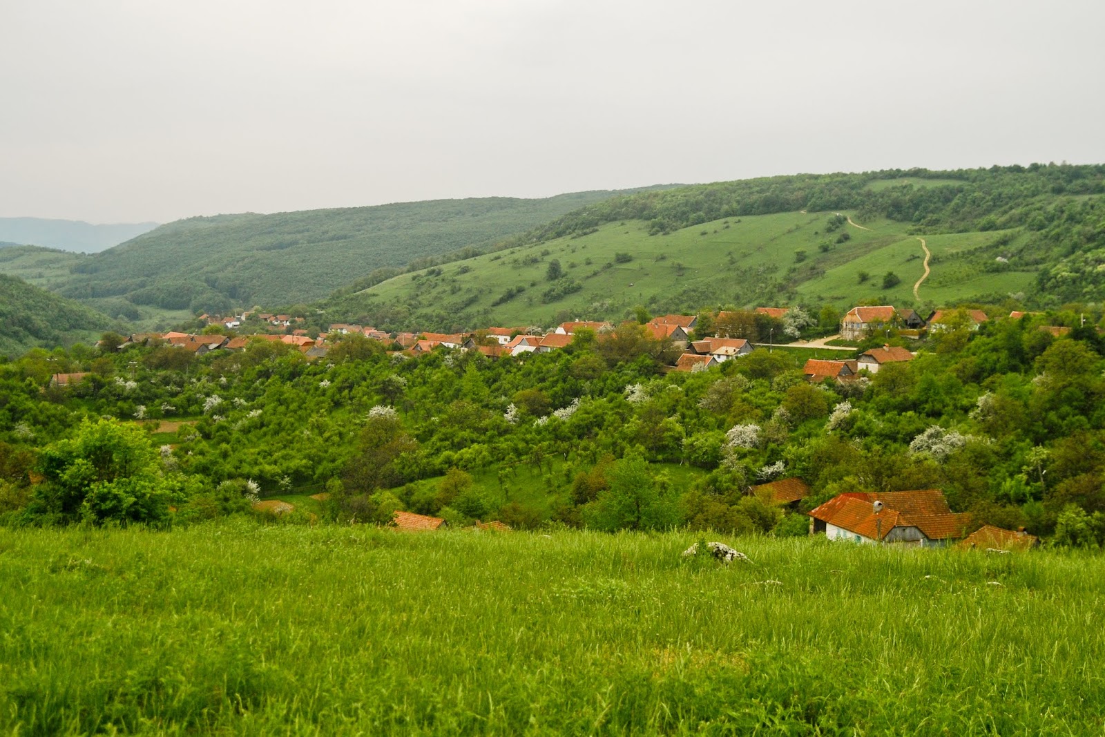 Mii de turişti cehi ajung anual în satele din sudul Banatului VIDEO
