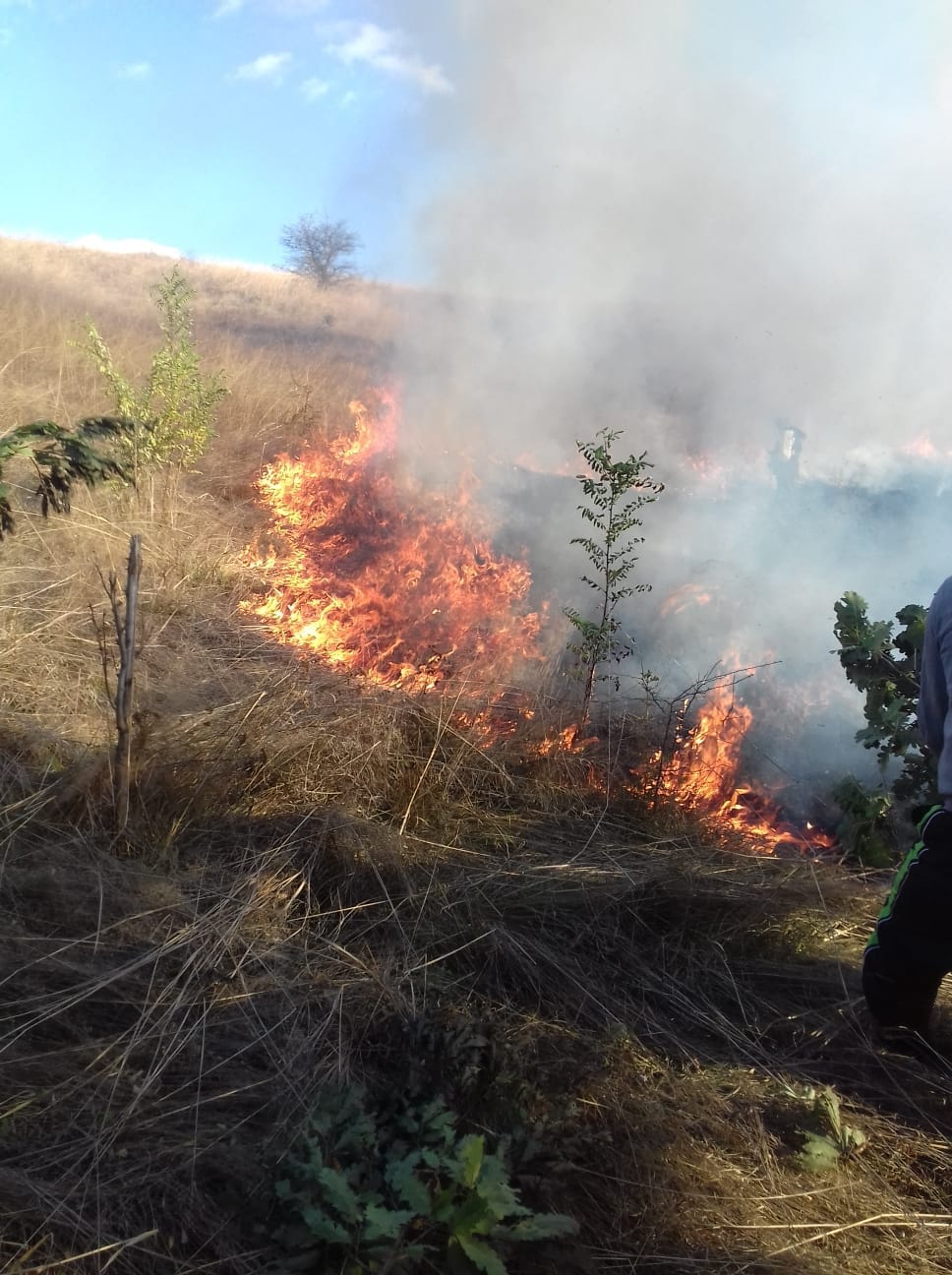 News Alert Incendiu de vegetatie cu pericol de extindere la Plugova VIDEO