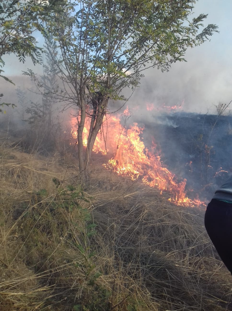 Banatul Montan in flacari – Peste 250 de Incendii de vegetație VIDEO